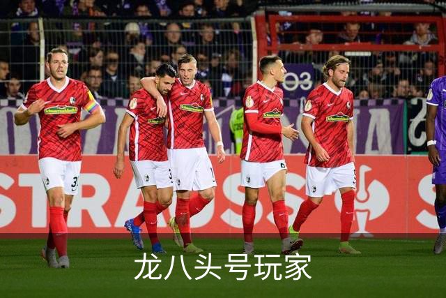龙八头号玩家公司简介